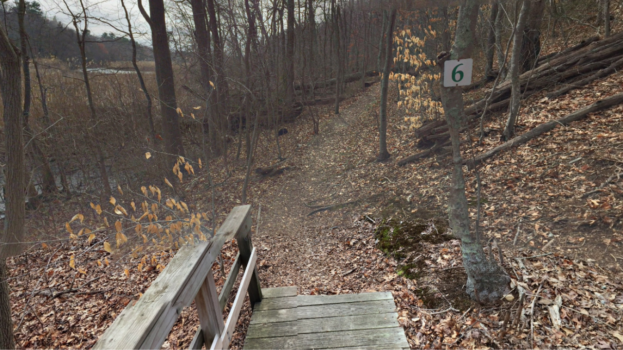 Walking path at Sweetbriar Nature Center Hauppauge, NY
