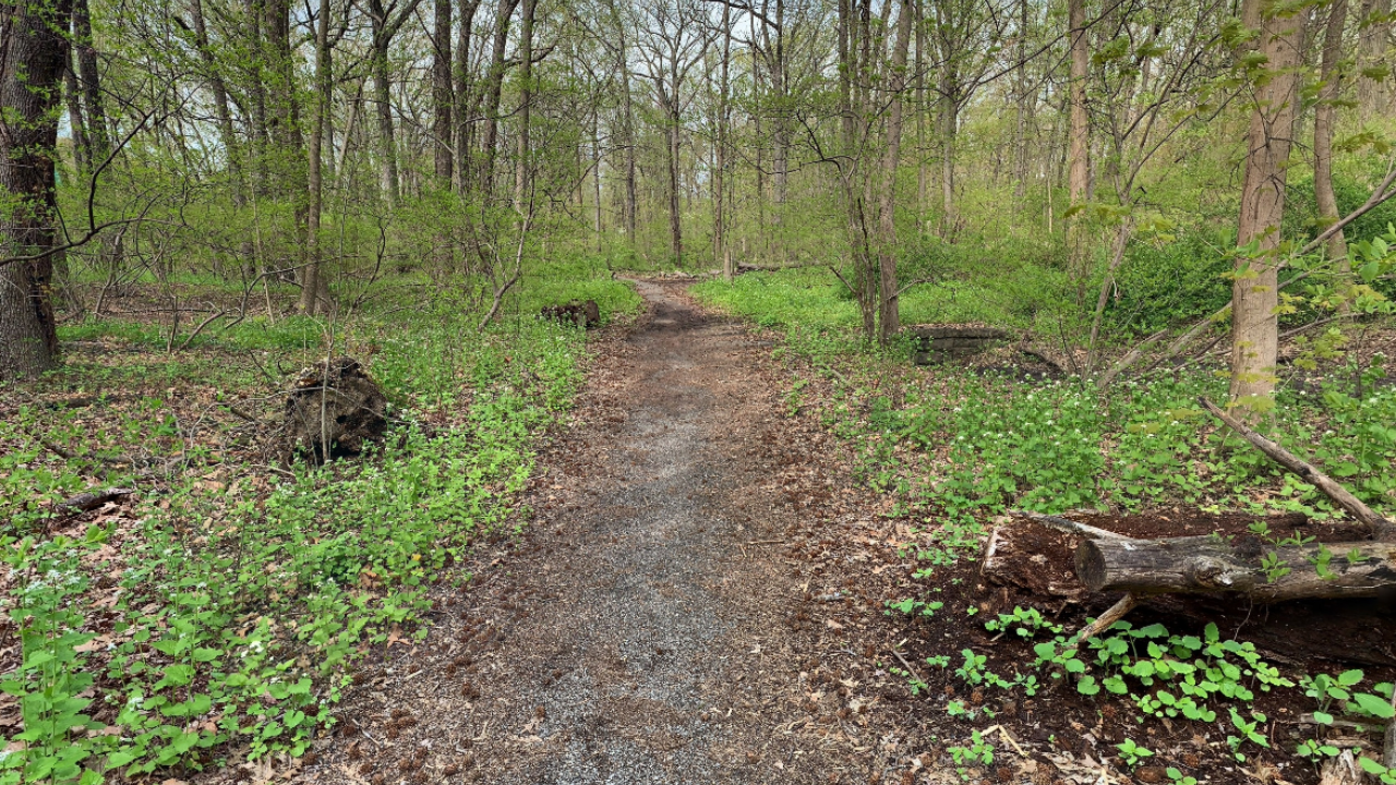 Path at Van Cortandt Park Bronx NY